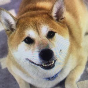 Meet your Posher, Marie